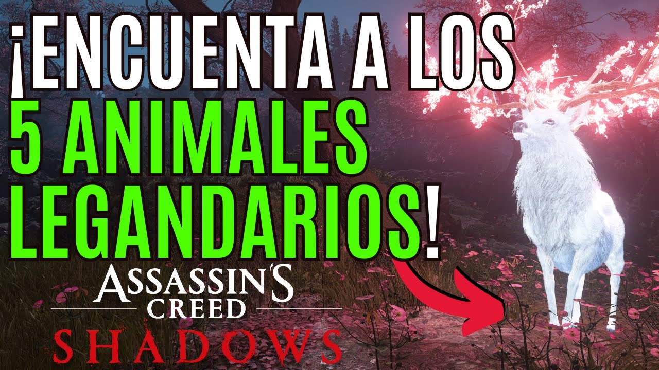 ⚡ASSASSIN´S CREED SHADOWS ⚡UBICACIONES y RECOMPENSAS de los 5 ANIMALES LEGANDARIOS en SHADOWS