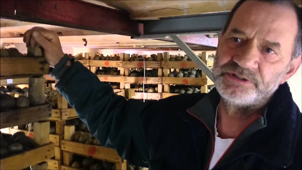 Samsøs bedste kartoffelmad, 1. film