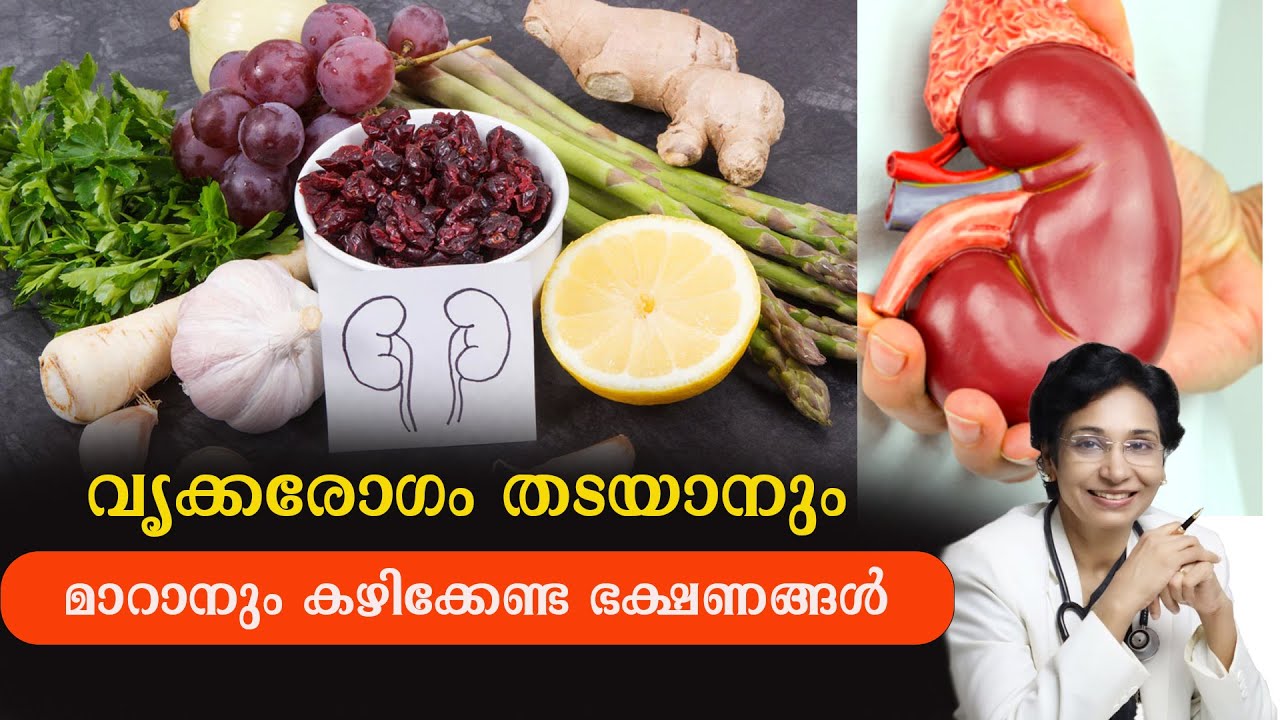 വൃക്കരോഗം തടയാനും മാറാനും കഴിക്കേണ്ട ഭക്ഷണങ്ങൾ / KIDNEY  DIET