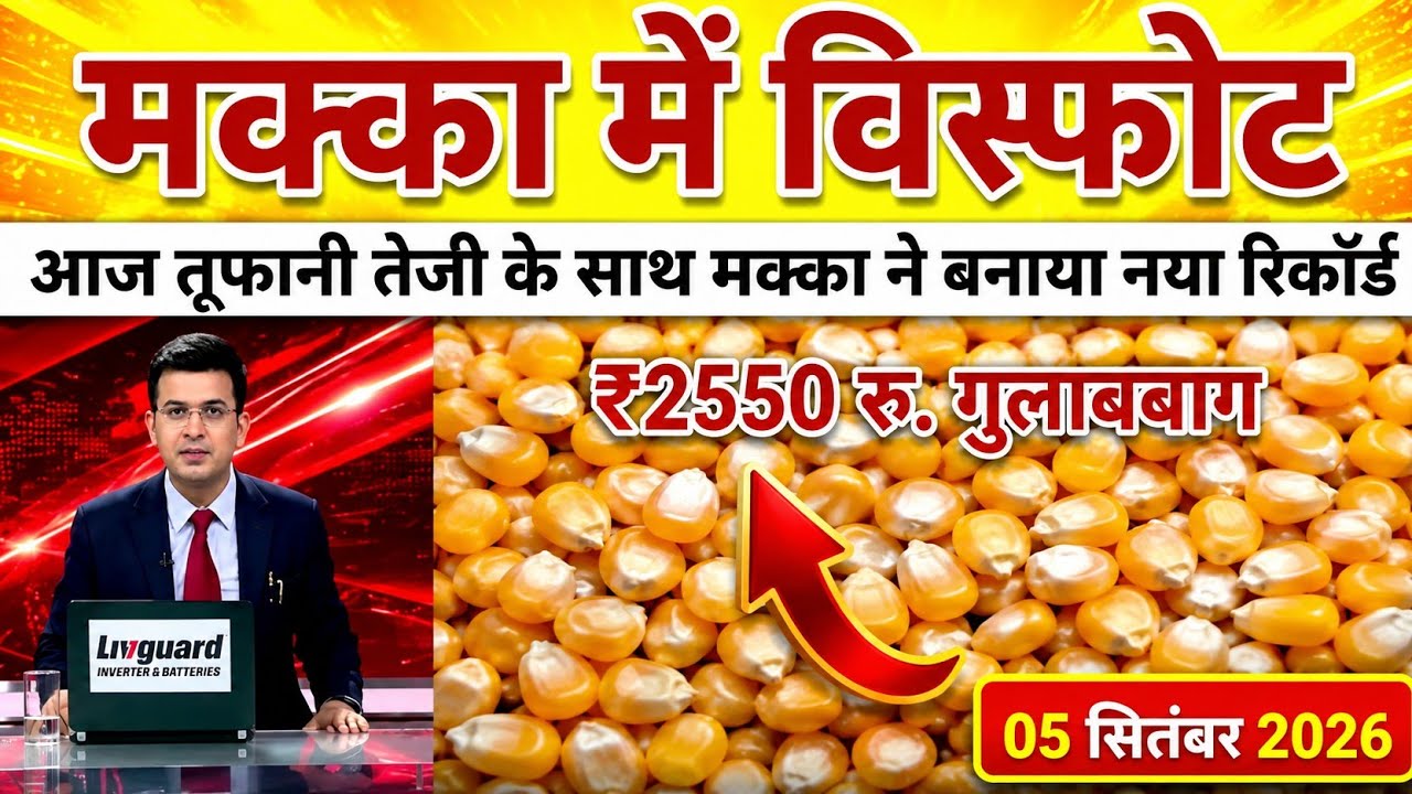 Maize prices explode. Today 09/05/2026 maize prices. Another massive surge in maize today. Makka ...
