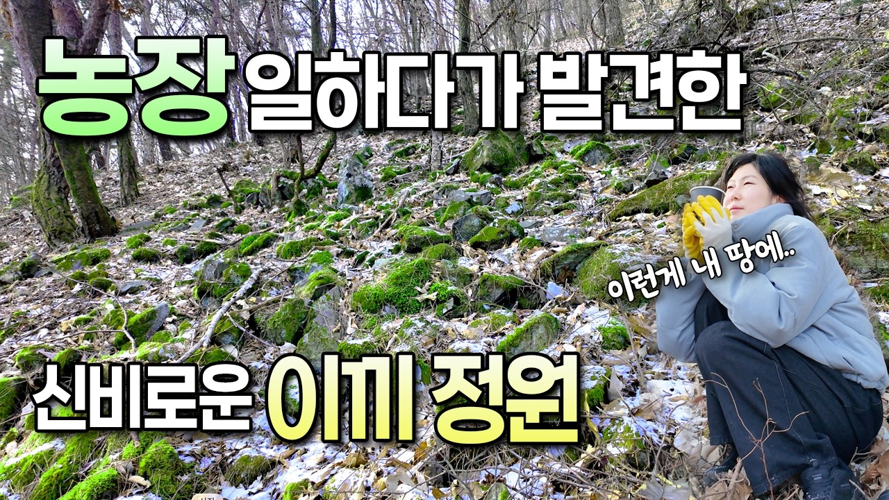 농장 일하다가 발견한 신비로운 이끼정원