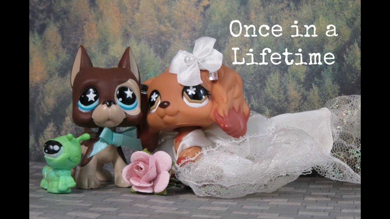 LPS: Once in A Lifetime {Short Film}