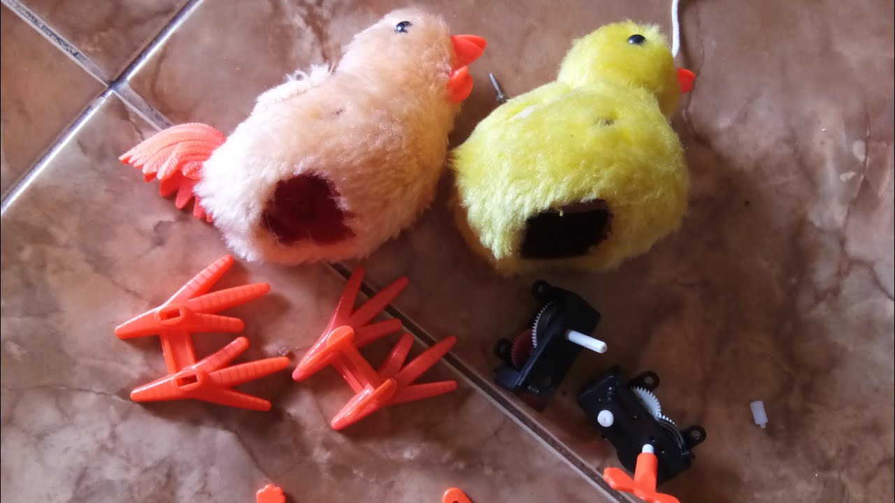 perbaiki mainan ayam