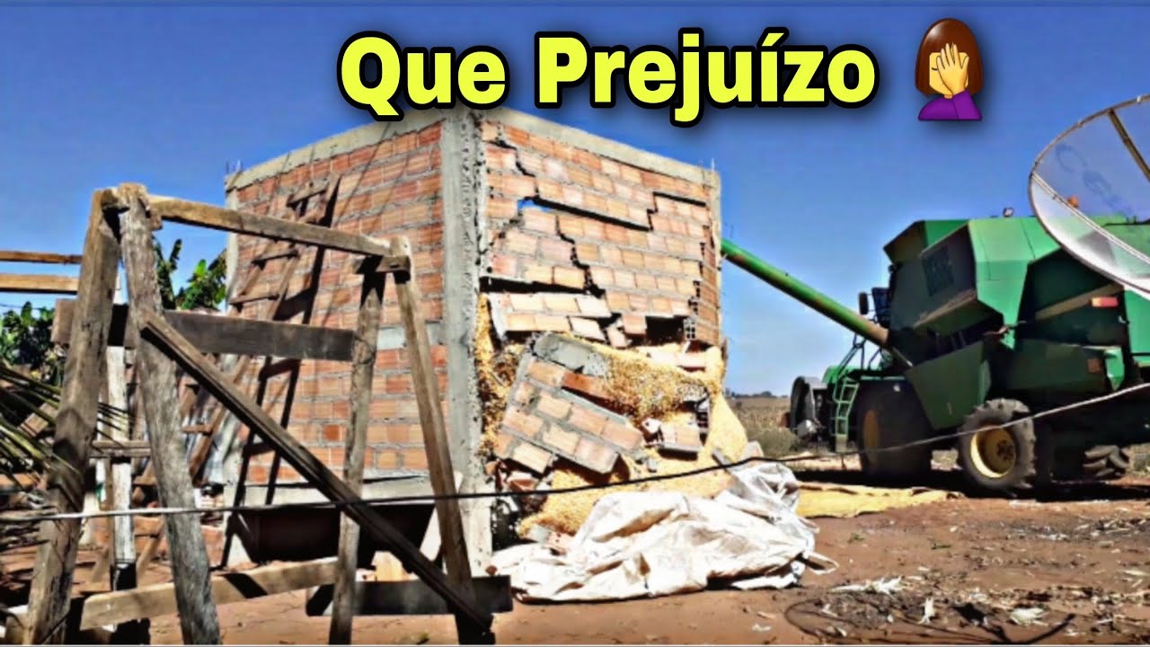 COLOCANDO MILHO NO NOSSO SILO FEITO DE TIJOLOS/ CAIU TUDO 😔