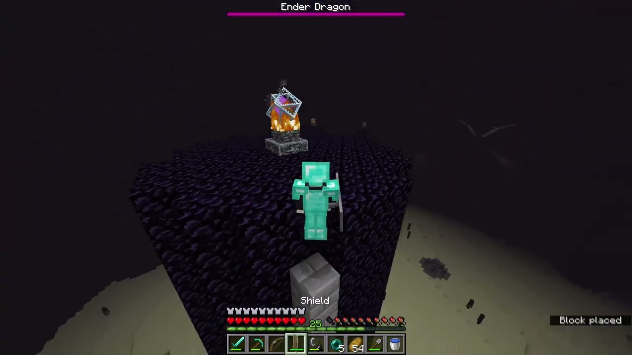 Minecraft Speedrun 1.21.11 |Part 2 | Conquered the World, Still Killed By the Dragon