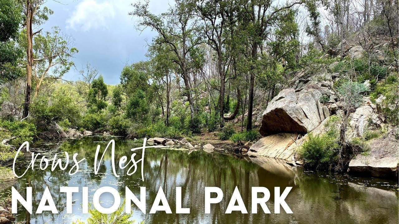Crows Nest National Park | Near Toowoomba Queensland