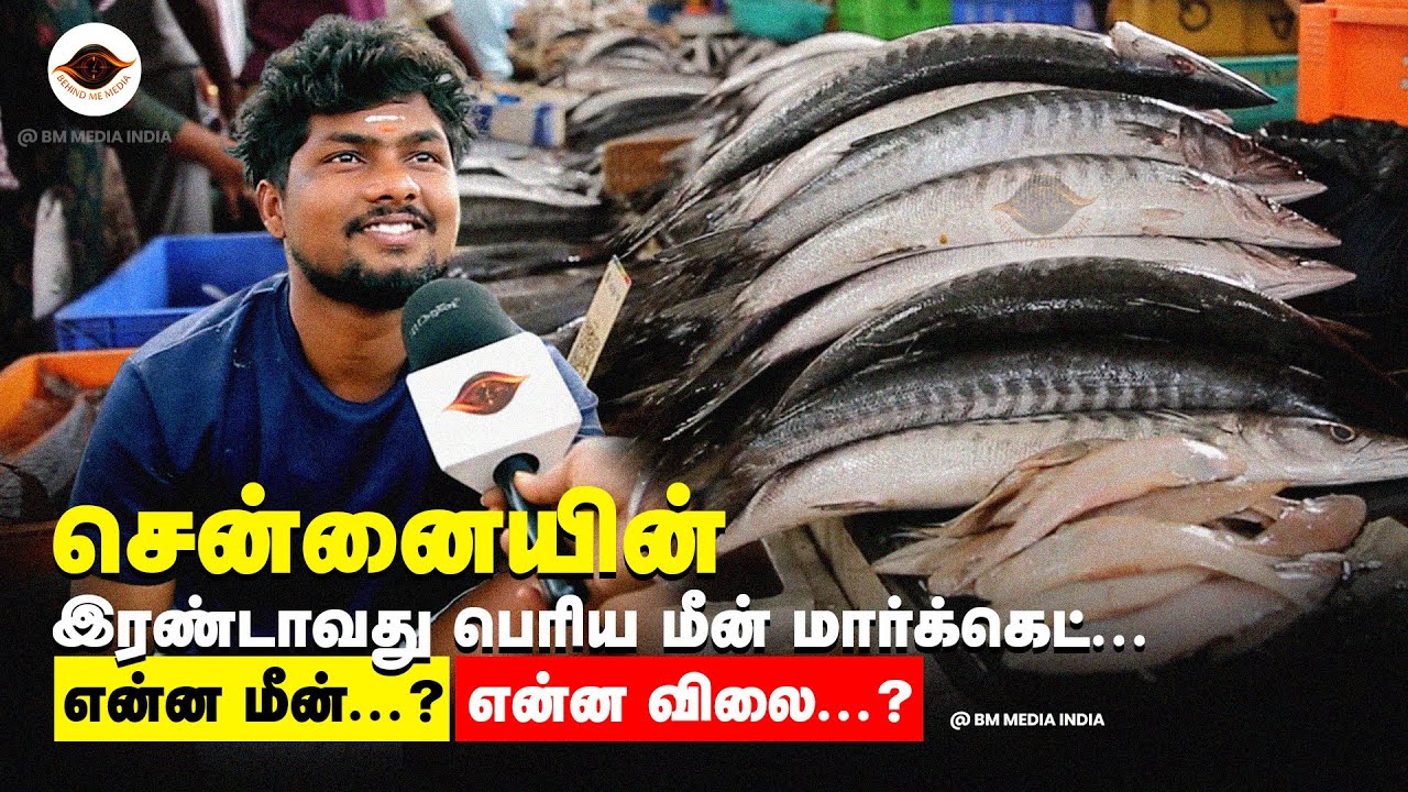 வானகரம் மீன் மார்க்கெட்| Vanagaram Fish Market| Wholesale Fish Market | BM Media India