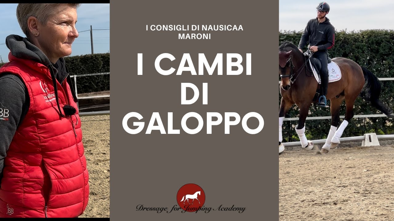 Consigli di Nausicaa Maroni per i cambi di galoppo #dressageforjumping #equitazione #cavalli