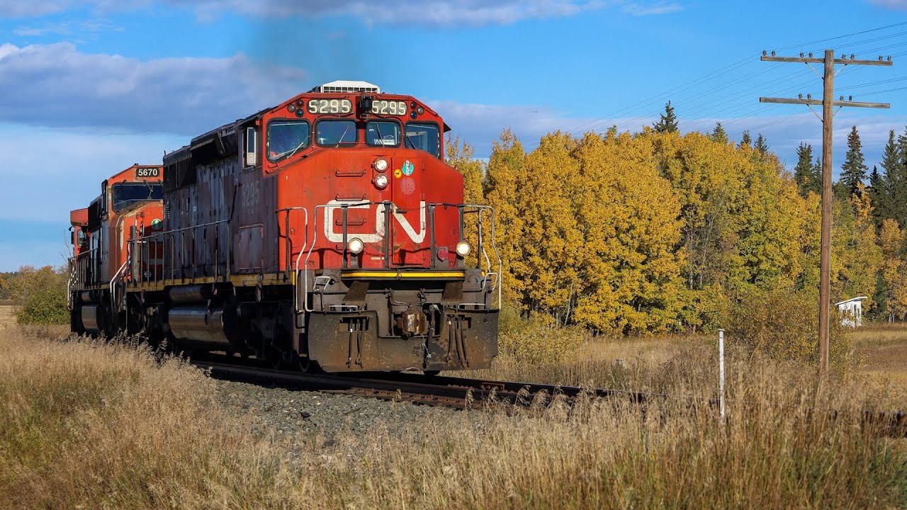 Fall Colours on the NAR - CN SD40-2W 5295 Leading A 41851 02 on the Westlock Sub - October 3, 2025