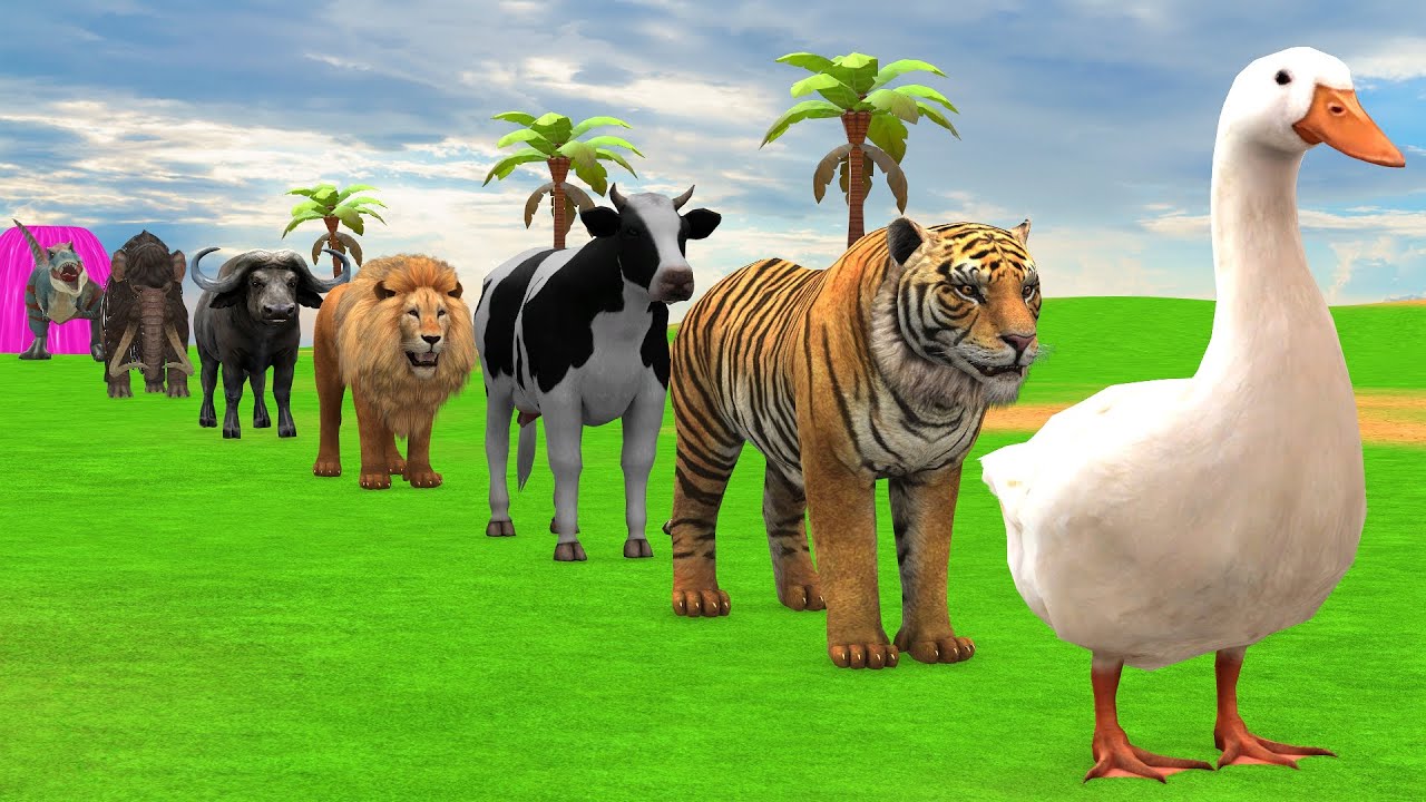 Long Slide Game with Cow Elephant Gorilla Hippopotamus Tiger 3d Animal Game Funny 3d Animals