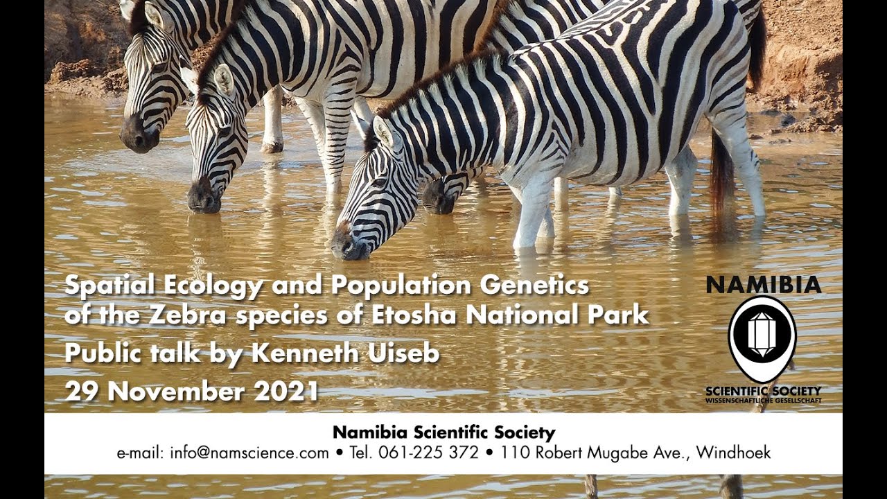 Presentation: &ldquo;Spatial Ecology and Population Genetics of the Zebra species of Etosha&rdquo; by K. Uiseb