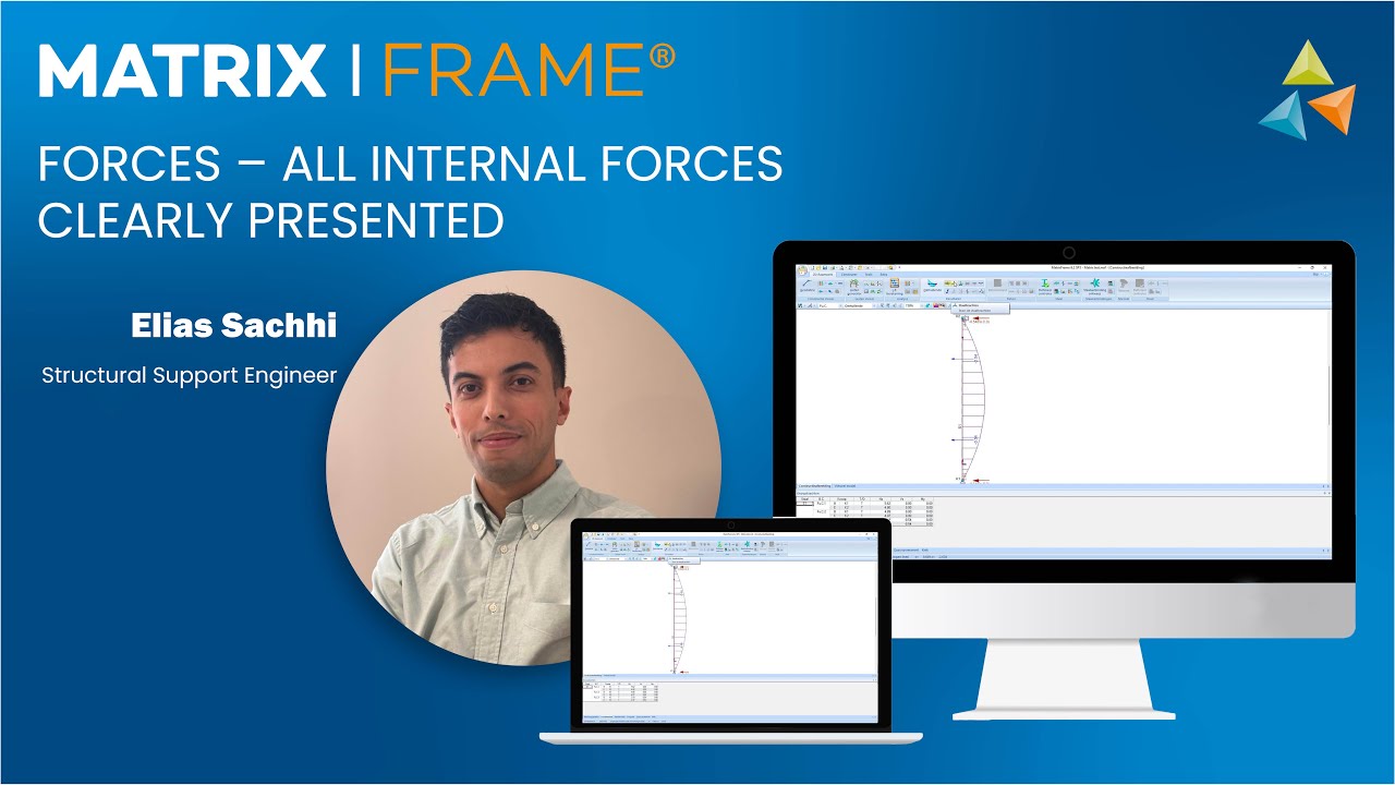 MatrixFrame - Forces all internal forces clearly presented