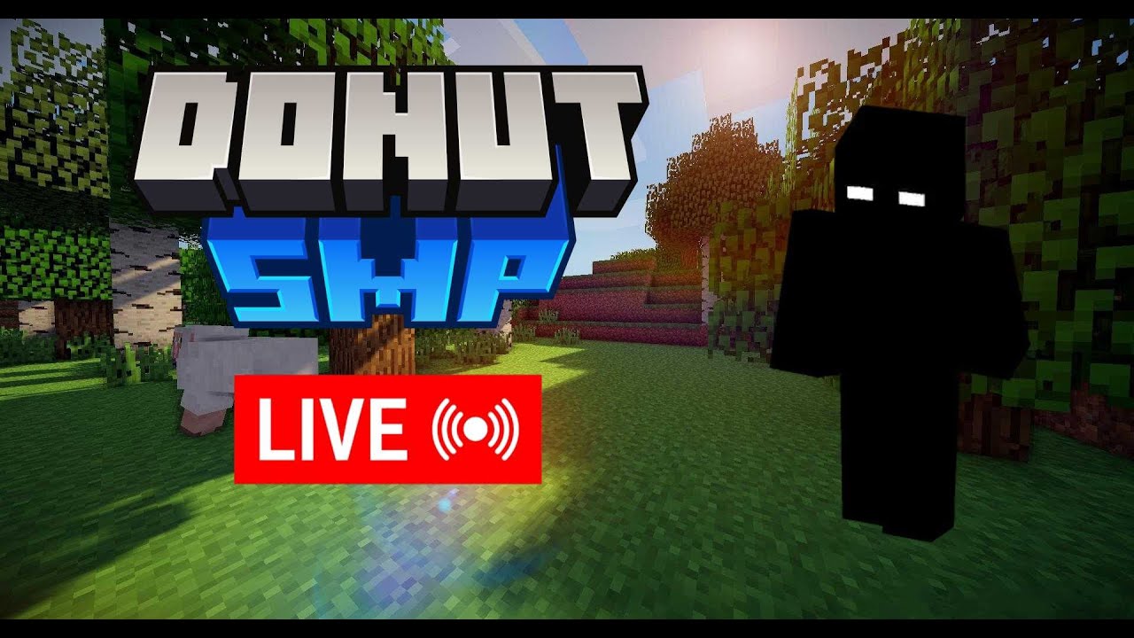 How Long Does It Take to Actually Find a Base on The Donut SMP?