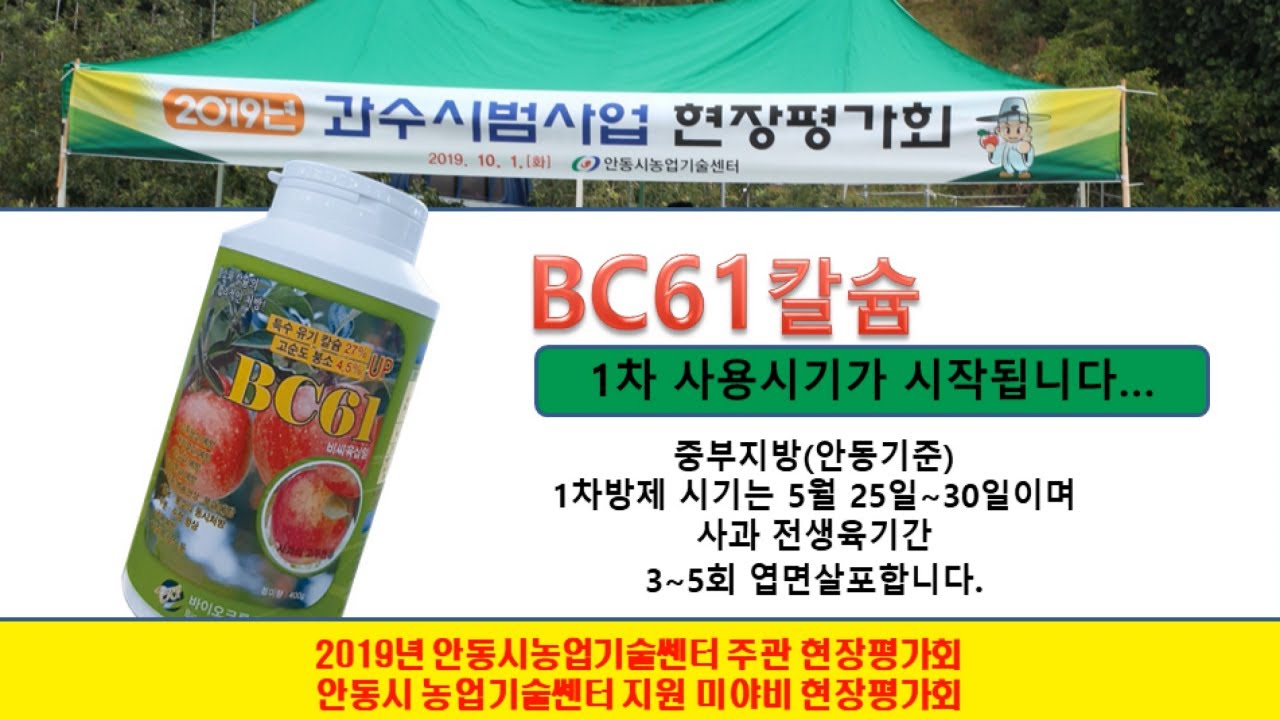 🍎사과농사!🍎 이대로만 하면 소득 2배! 3배! ㅣ 20년에 걸친 실증시험/현장평가 완료 최종편