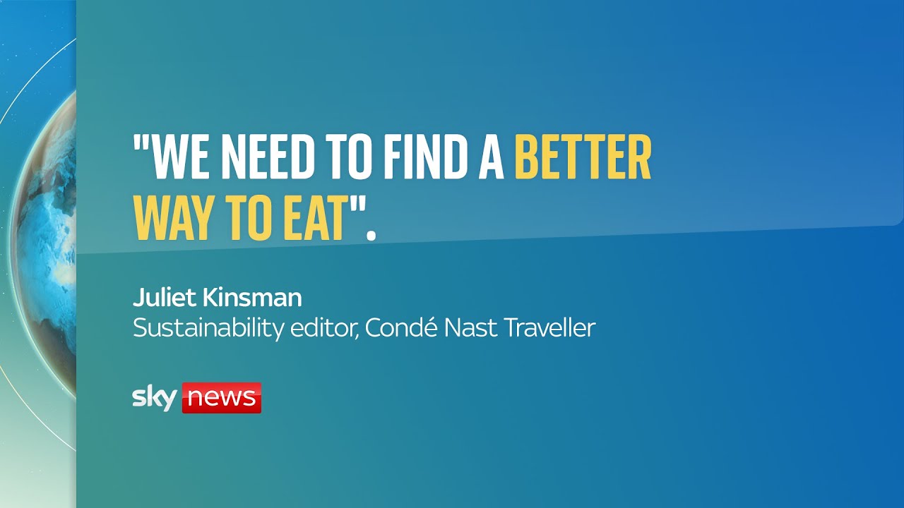 The Daily Climate Show: Should you swap your burger for lab grown meat?