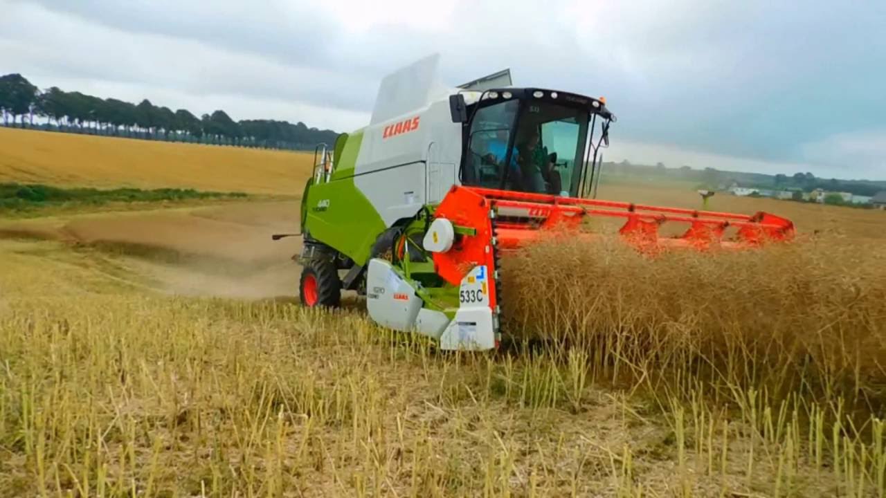Żniwa 2016 na Kaszubach | Nowy Claas Tucano 440