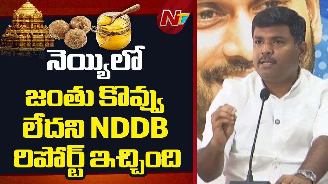 జంతు కొవ్వు ఉందని రిపోర్టు ఇచ్చే వరకు కమిటీలు వేస్తారా..?: Gudivada Amarnath | NTV Telugu