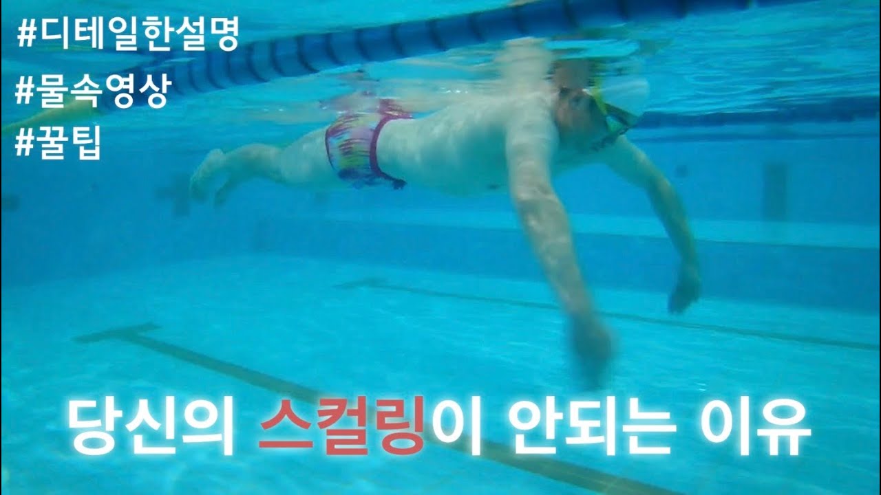 당신의 스컬링이 안되는 이유(물속영상, 꿀팁, 디테일한설명)