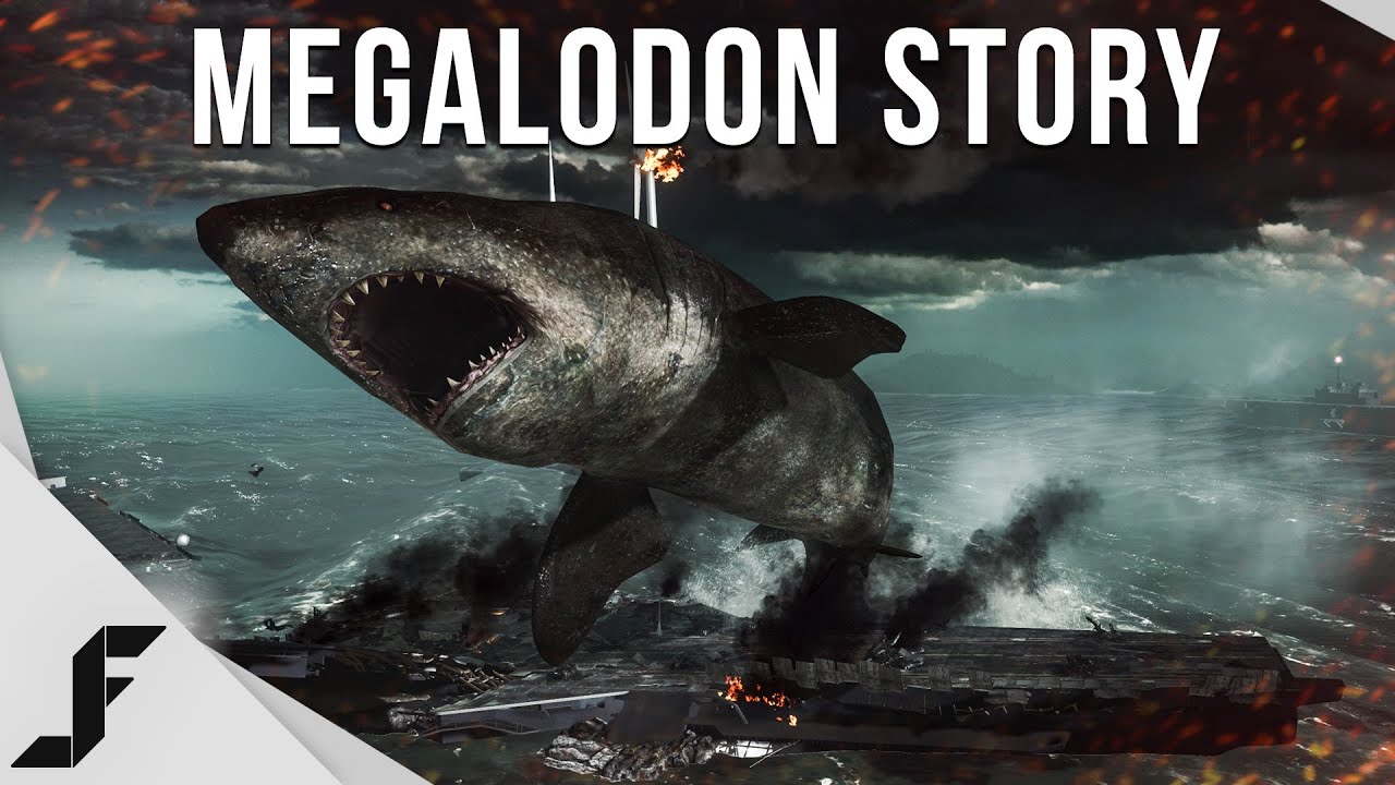 MEGALODON STORY - How the Easter Egg was discovered!