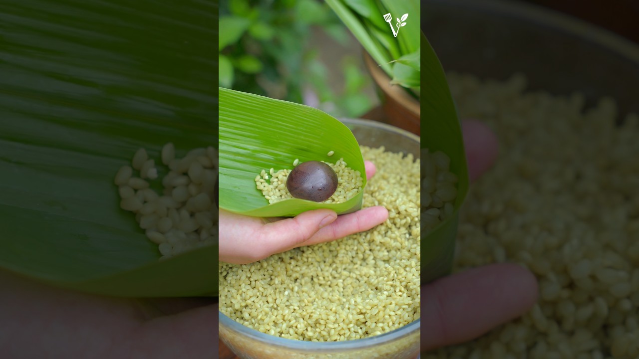 कोको फल से शुद्ध चॉकलेट और मिठाई 🍫 Pure Chocolate Making #Shorts