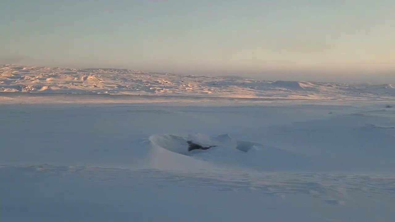 Norway ///  Train from Bodø to Trondheim /// Vodo Travel