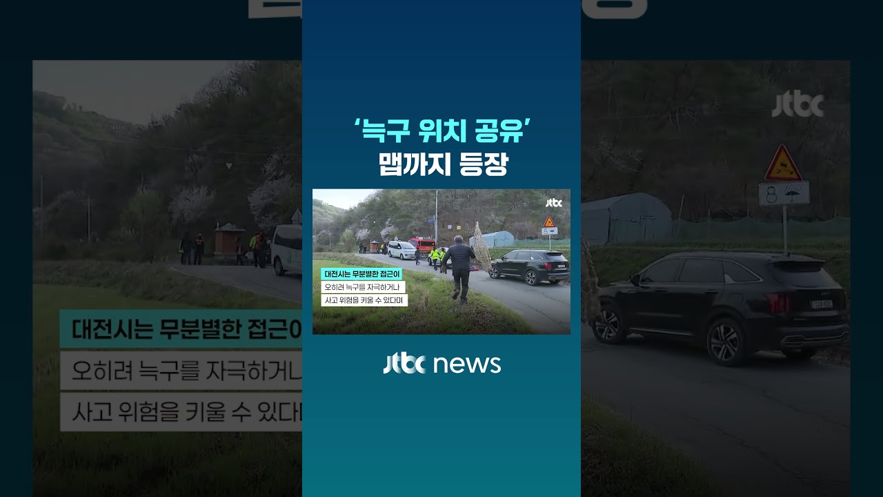 수색 9일째 '늑구 위치 공유' 맵까지 등장 #JTBC #Shorts