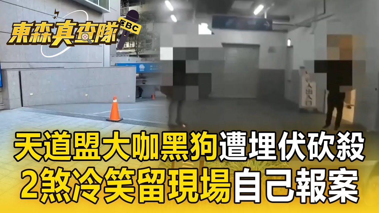 天道盟大咖「黑狗」遭埋伏砍殺！2煞尾隨持開山刀猛砍「冷笑留現場」自己報案【東森真查隊】