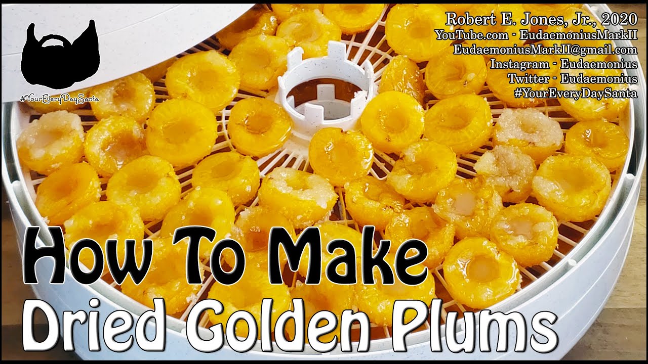 How To - DRY GOLDEN PLUMS - Day 18,571