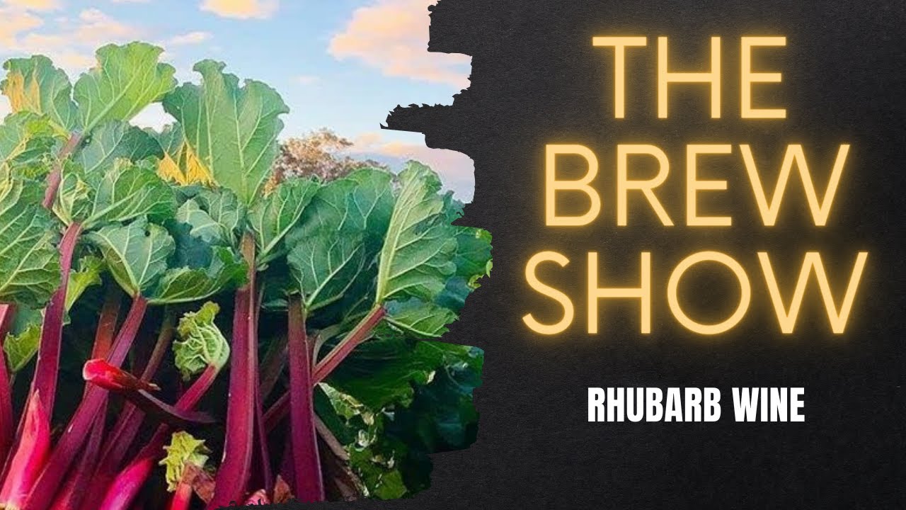 Veggie Wine?! 🤔 An Easy 12% DIY Rhubarb Wine Recipe | Winemaking for Homesteaders & Homebrewers!