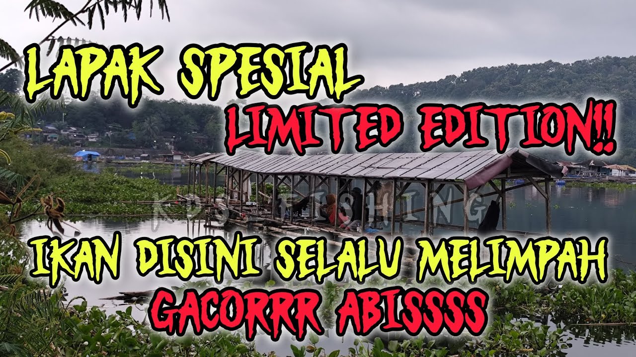 SPOT DANGKAL SEGACOR INI?? MMANCING CIRATA TERBARU 2026 #mancing #cirata #viral #fypシ゚viral #fishing