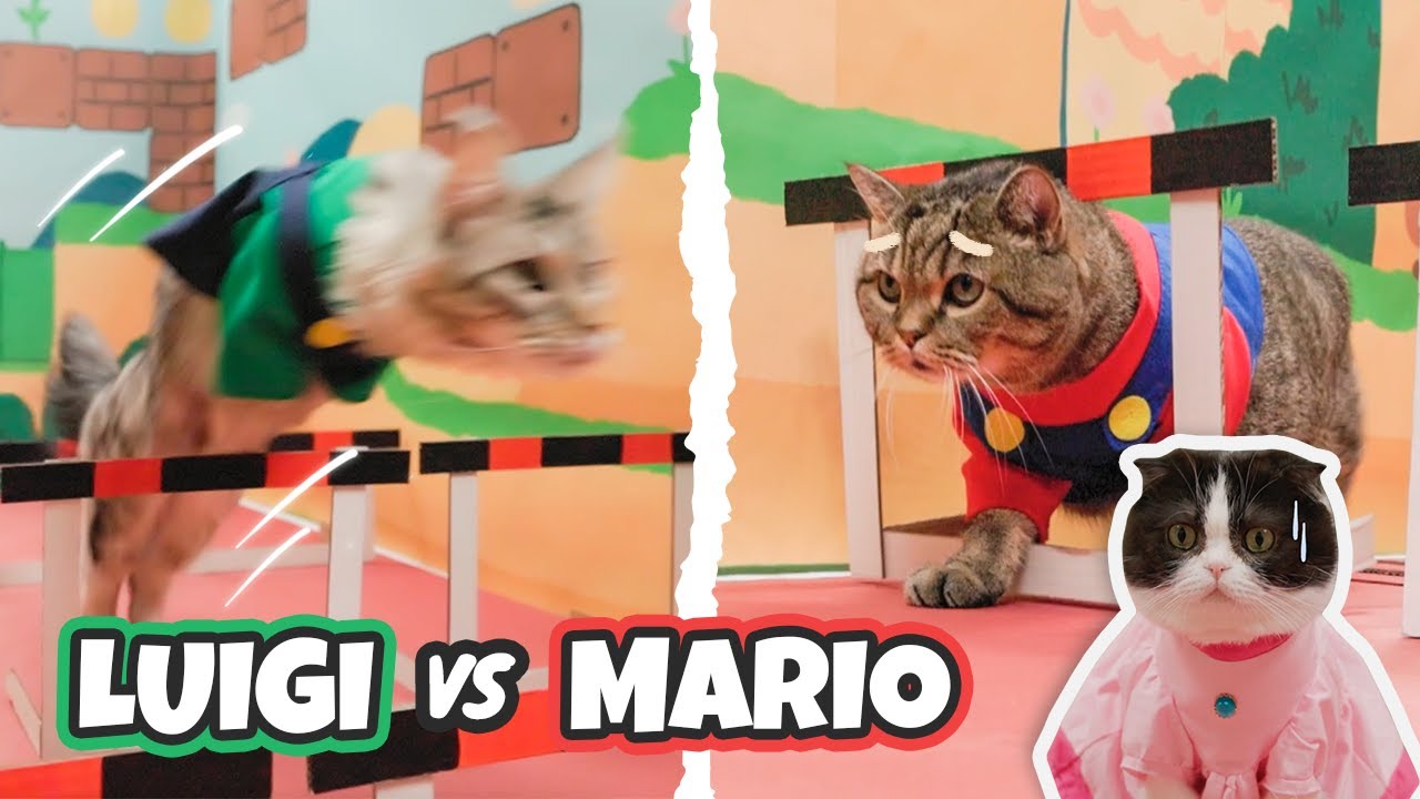 Mario vs Luigi | Hurdle Challenges in Mario Land