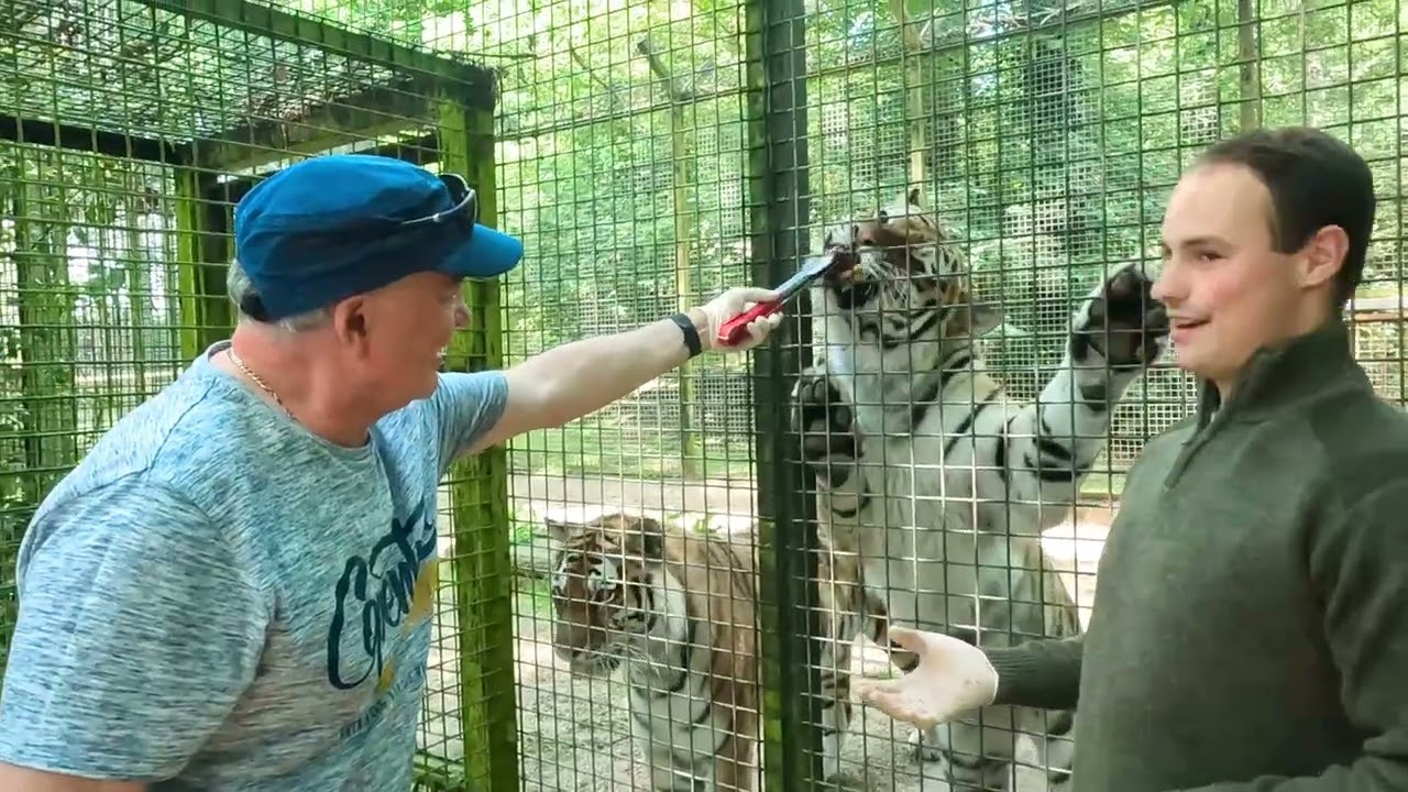 Port Lympne Day 2 Hog Deer Creek June 2023