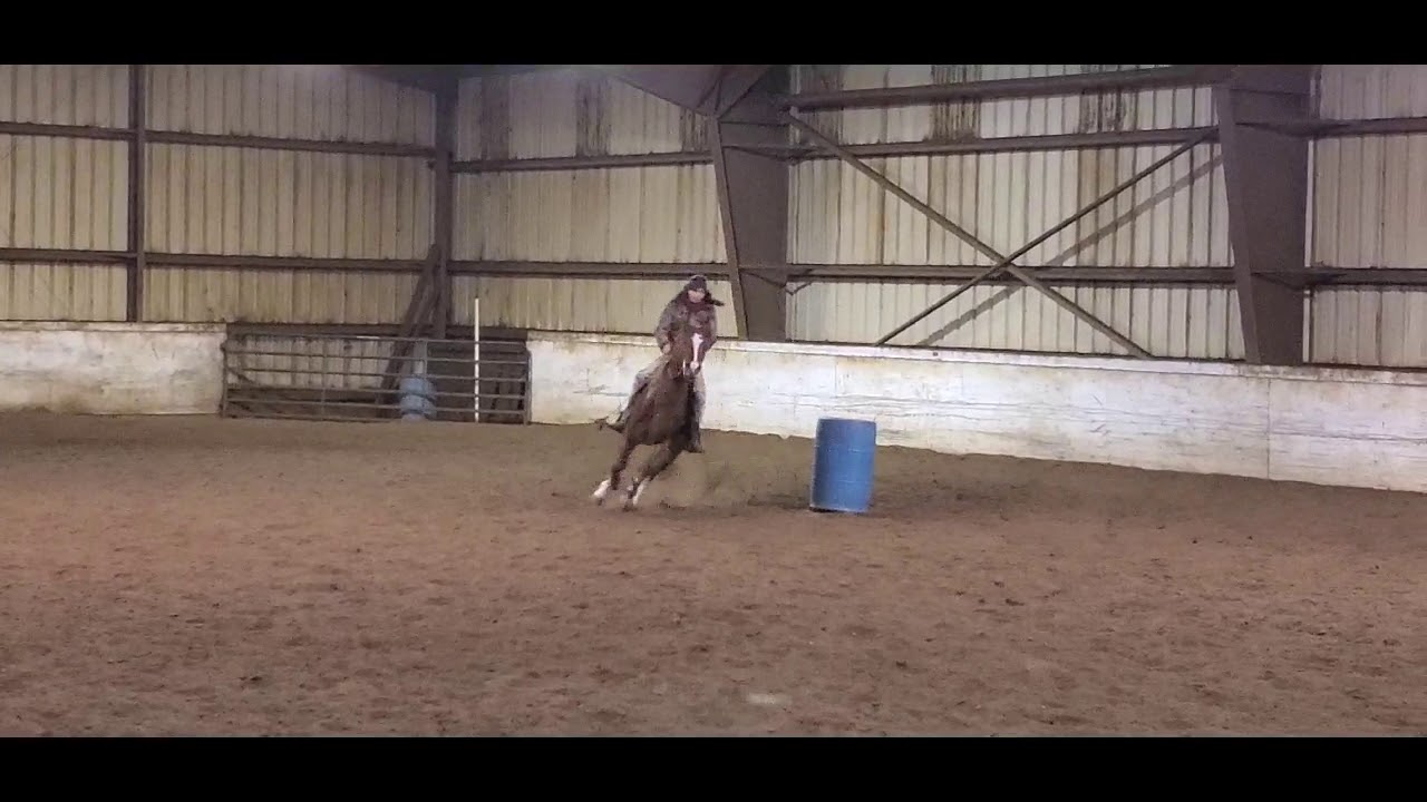 Teaching my students barrel racing techniques and Pole Bending