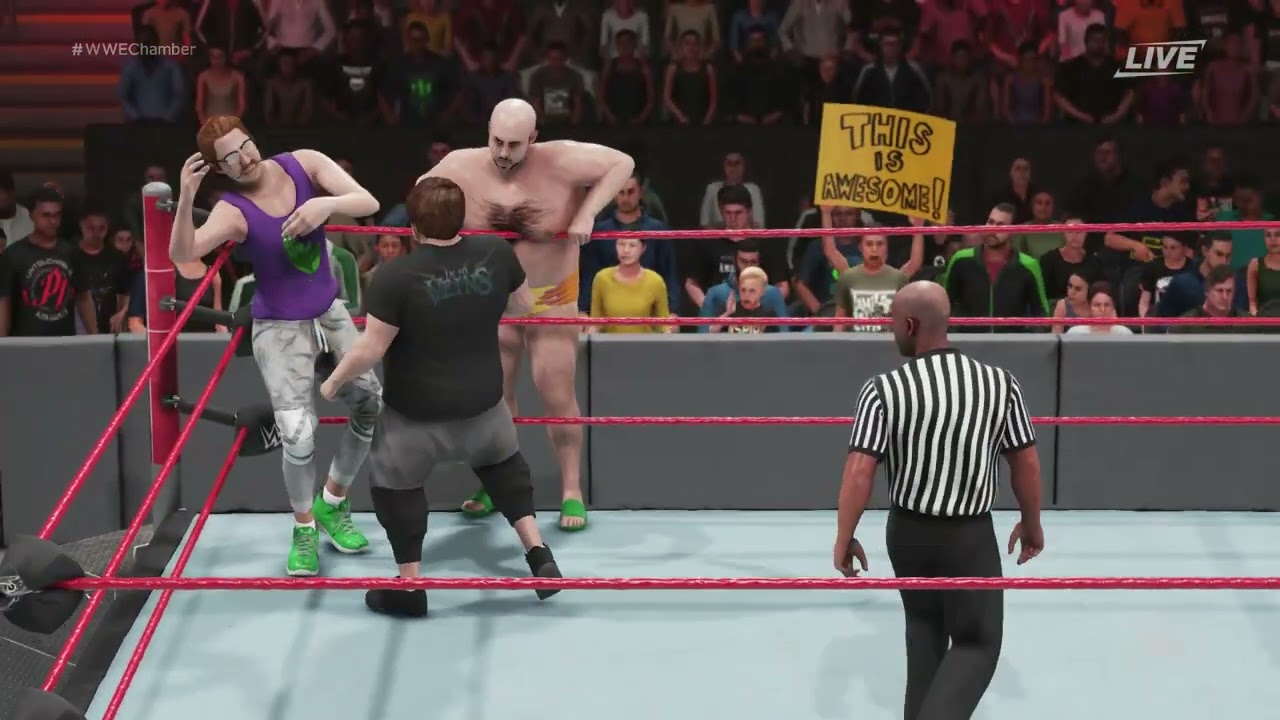 Rogowska Elimination Chamber PPV