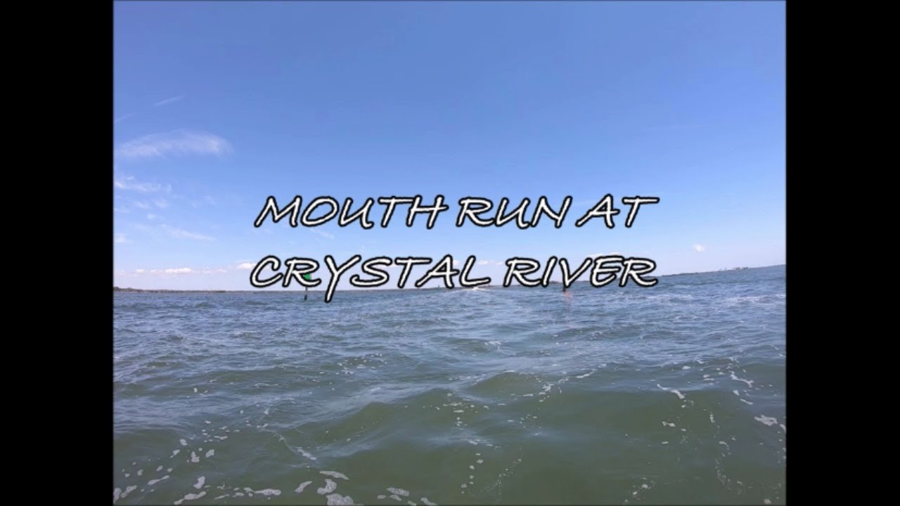 Mouth Run at Crystal River (2020)