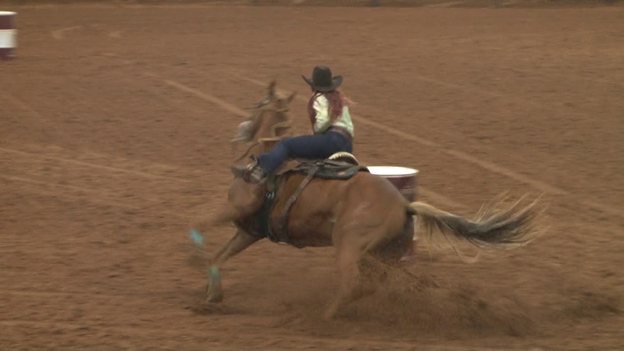 ABF17   Busby Quarter Horses Open 5D   Haley Hughes   American Makeover