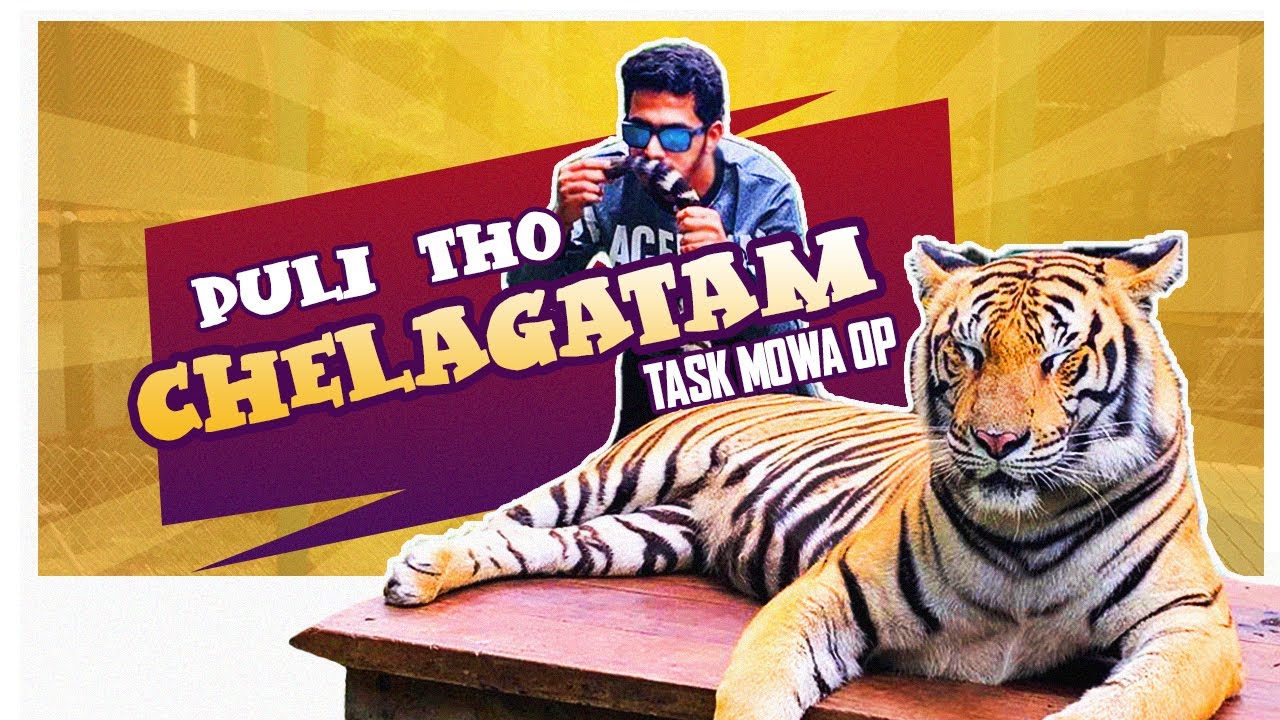 Pattaya - Thailand | Playing With Real Tigers | Mr Task Vlogs  #unqgamer #saharayt #mrtaskvlogs