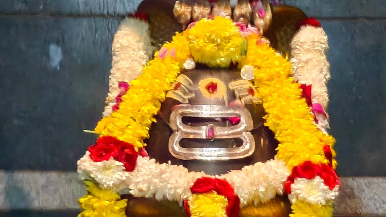 మన సనాతనం  is live 11/02/2026 