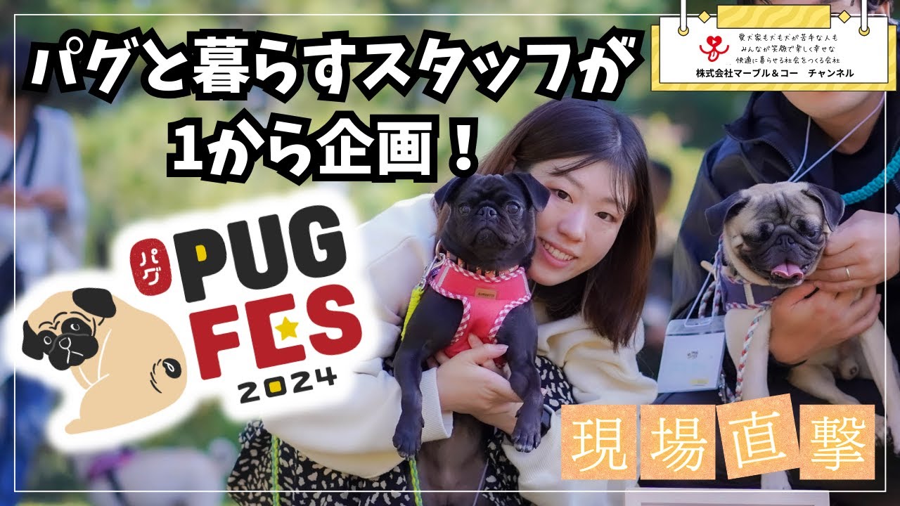 【イベント現場直撃】パグと暮らすオーナーである本部スタッフがパグ愛を全力注入！初開催のパグフェスは成功なるか！？