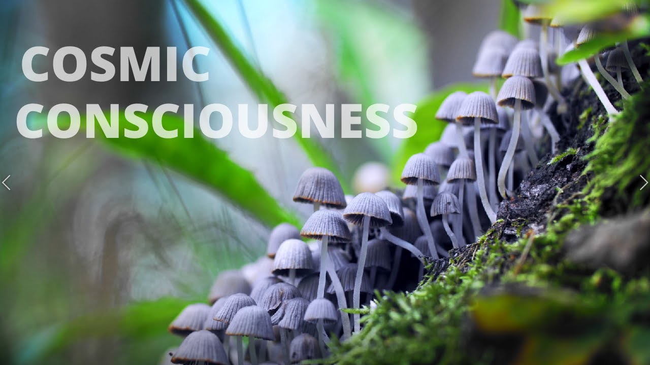 Cosmic Consciousness | Relaxing Psilocybin Therapy Music | Good Trip✨🍄