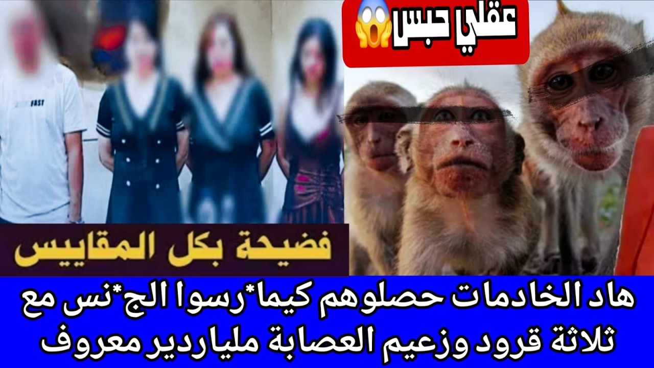 الحاج الشيطان 🔞 مربي 3 قرودة وكيجيب ليهم خادمات الموقف باش ينع_سوا معاهم والمقابل ‼️عقلك غدي يحبس