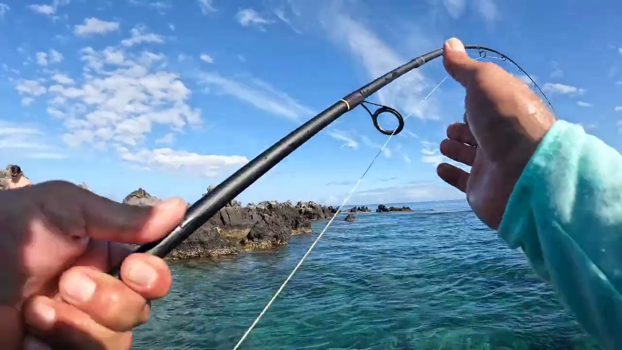Huge bluefin Trevally  Land base fishing in Hawaii