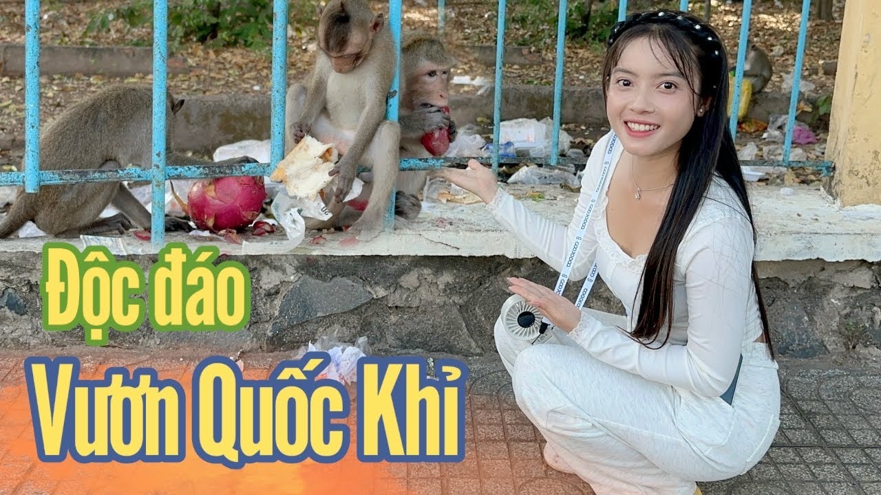 Cô Gái Quê ✅ lần Đầu đến Toà Thánh Thích thú với Đàn Khỉ vô cùng Thân thiện.