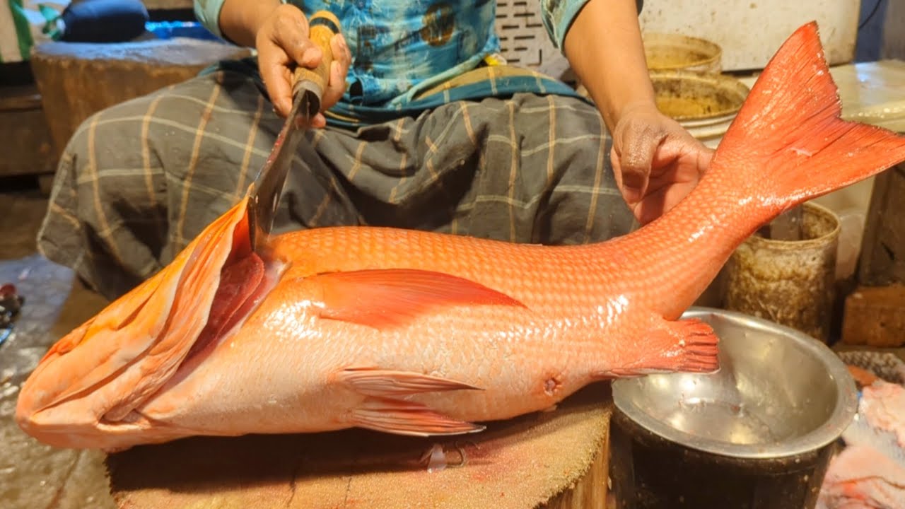Amazing Emperor Fish Cutting Skills In Bangladesh Fish Market By Expert Fish Cutter