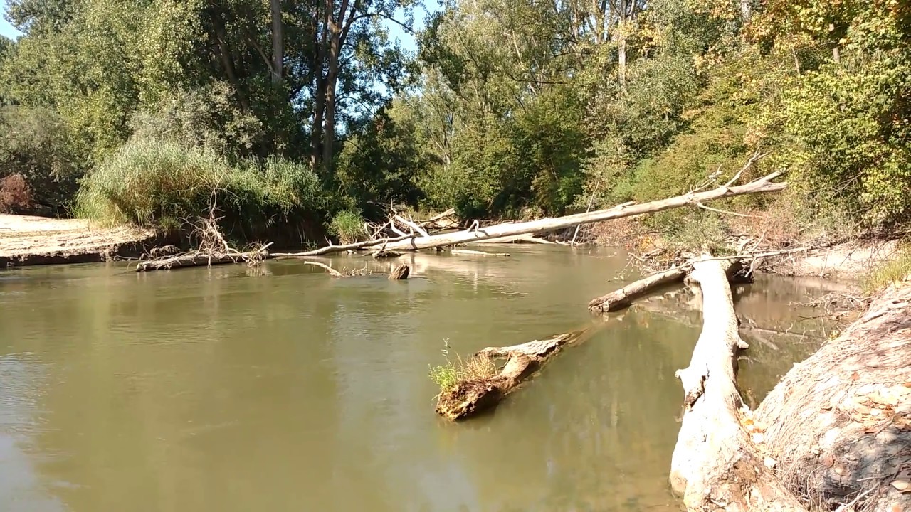 Der Pfälzer Amazonas - Altrheingebiet bei Mechtersheim