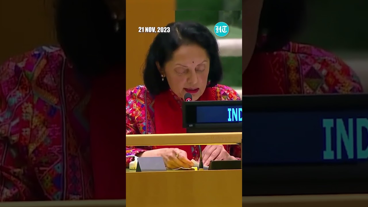 India Backs Palestine's Cause At UN; 'Want Independent, Sovereign...' | Watch