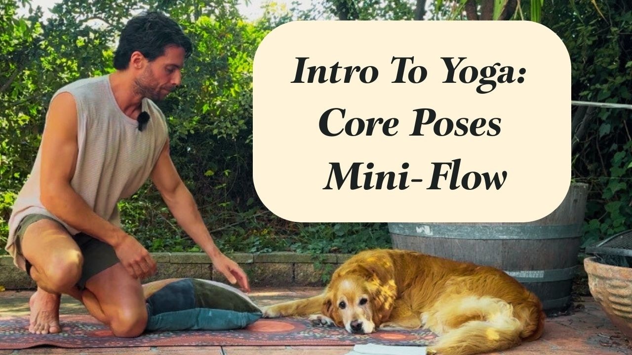 Introduction To Yoga: Core Poses Mini Flow