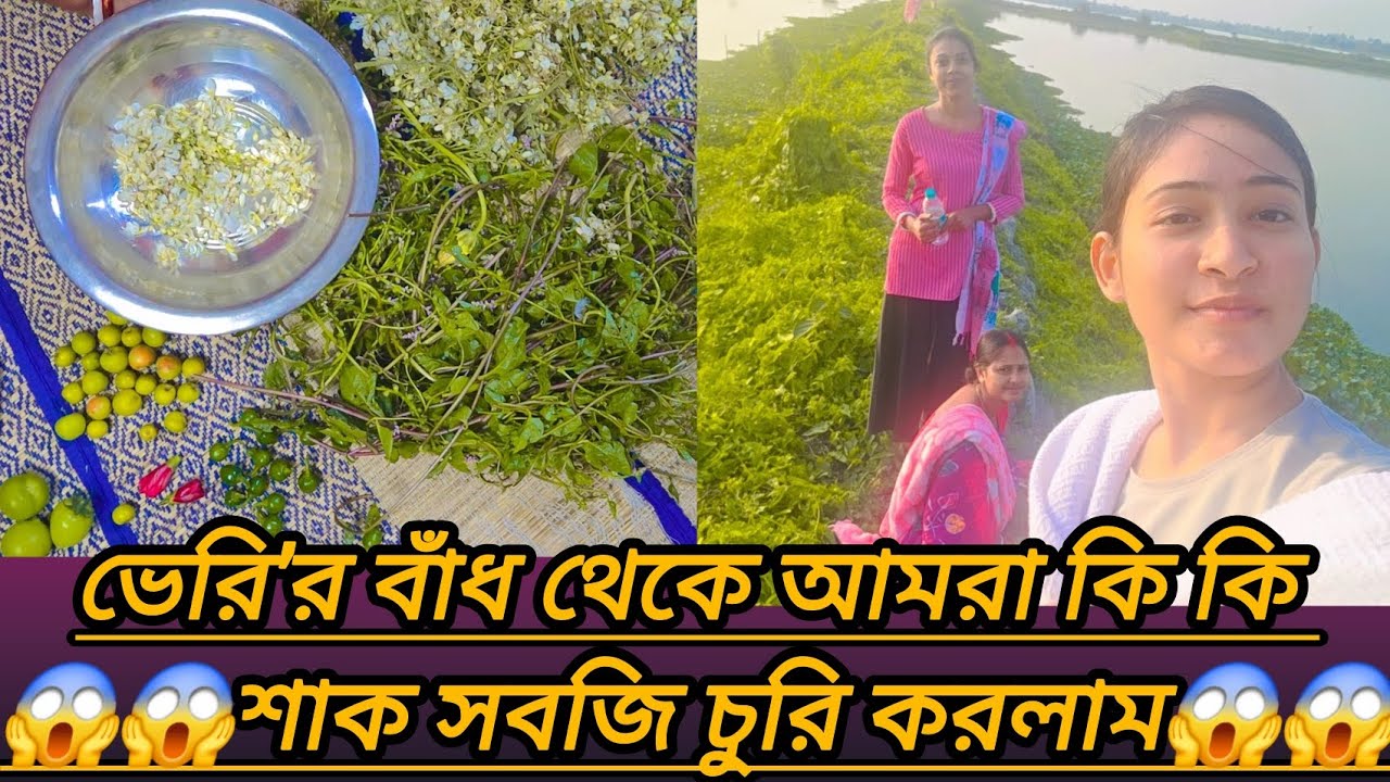 😱ভেরি'র বাঁধে গিয়ে আমরা কি চুরি করলাম😱 #ViralVlog #FunVlog #Subscribe #Like #Comment #Subscribe 