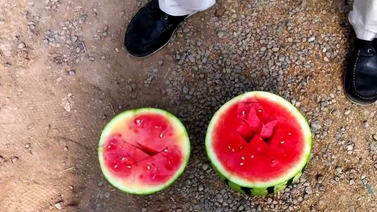 BOMBARDIER SUGAR IN WATERMELON