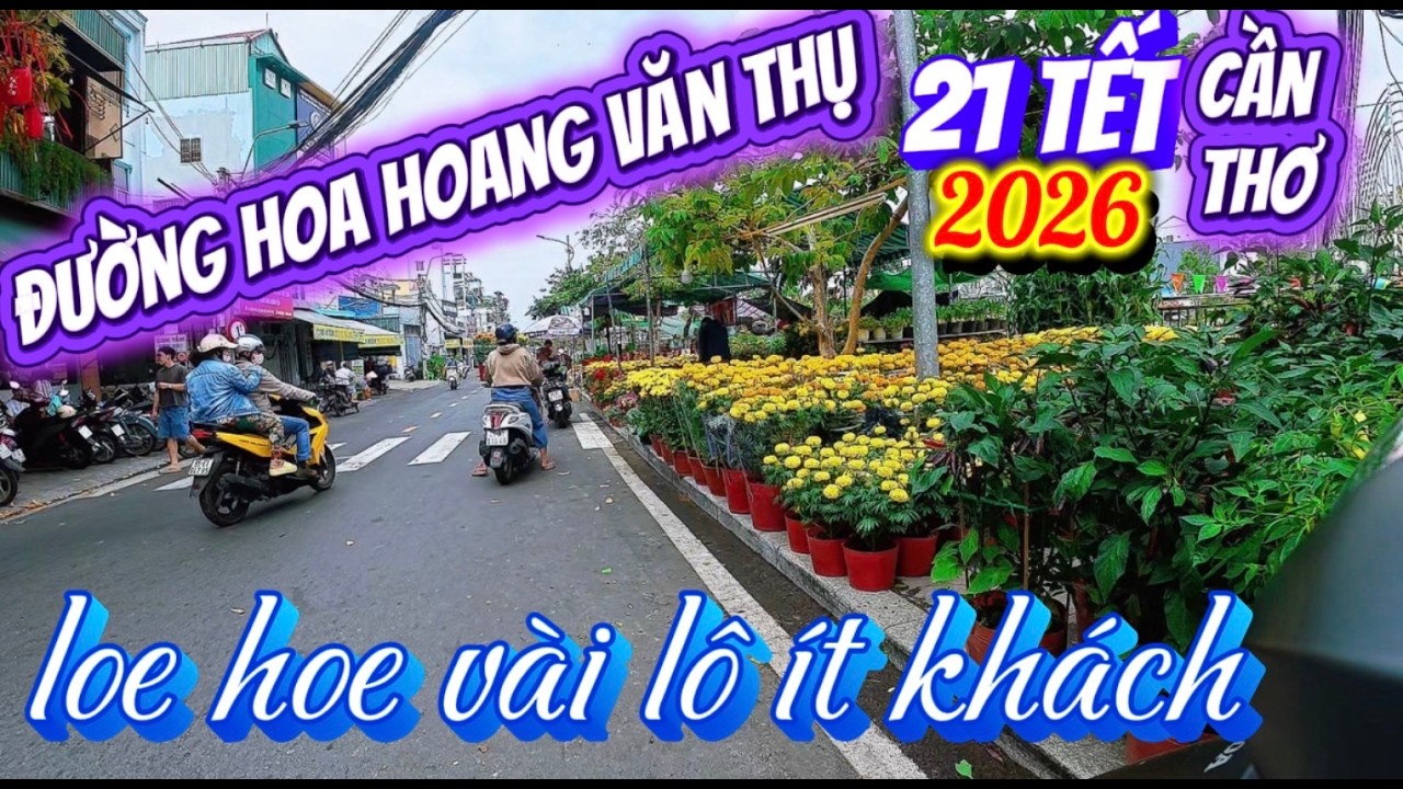 Đường Hoa Hoàng Văn Thụ 21 Tết 2026: Loe Hoe Vài Lô, Ít Khách Bất Ngờ!